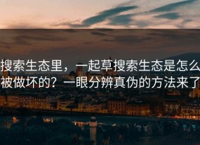 搜索生态里，一起草搜索生态是怎么被做坏的？一眼分辨真伪的方法来了