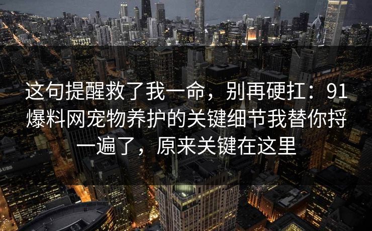这句提醒救了我一命，别再硬扛：91爆料网宠物养护的关键细节我替你捋一遍了，原来关键在这里