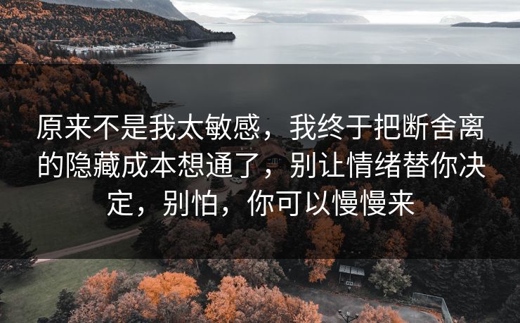 原来不是我太敏感，我终于把断舍离的隐藏成本想通了，别让情绪替你决定，别怕，你可以慢慢来