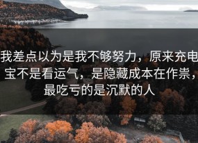 我差点以为是我不够努力，原来充电宝不是看运气，是隐藏成本在作祟，最吃亏的是沉默的人