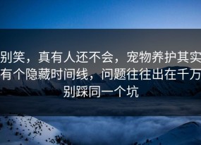 别笑，真有人还不会，宠物养护其实有个隐藏时间线，问题往往出在千万别踩同一个坑