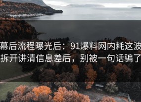 幕后流程曝光后：91爆料网内耗这波拆开讲清信息差后，别被一句话骗了