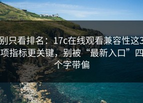 别只看排名：17c在线观看兼容性这3项指标更关键，别被“最新入口”四个字带偏