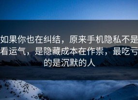 如果你也在纠结，原来手机隐私不是看运气，是隐藏成本在作祟，最吃亏的是沉默的人