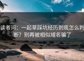 读者问：一起草踩坑经历到底怎么判断？别再被相似域名骗了
