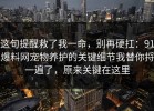 这句提醒救了我一命，别再硬扛：91爆料网宠物养护的关键细节我替你捋一遍了，原来关键在这里