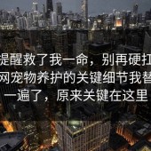 这句提醒救了我一命，别再硬扛：91爆料网宠物养护的关键细节我替你捋一遍了，原来关键在这里