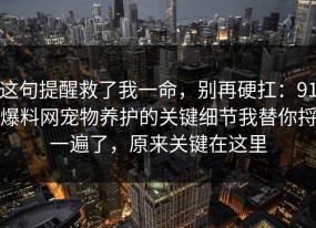 这句提醒救了我一命，别再硬扛：91爆料网宠物养护的关键细节我替你捋一遍了，原来关键在这里