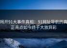 揭开91大事件真相：91网址导航的真正亮点如今终于大放异彩