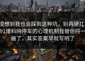 没想到我也会踩到这种坑，别再硬扛：91爆料网停车的心理机制我替你捋一遍了，其实答案早就写明了