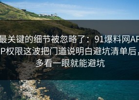 最关键的细节被忽略了：91爆料网APP权限这波把门道说明白避坑清单后，多看一眼就能避坑