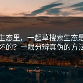 搜索生态里，一起草搜索生态是怎么被做坏的？一眼分辨真伪的方法来了