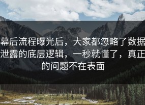 幕后流程曝光后，大家都忽略了数据泄露的底层逻辑，一秒就懂了，真正的问题不在表面