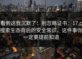 看到这我沉默了：别忽略证书：17.c搜索生态背后的安全常识，这件事你一定要提前知道