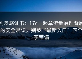 别忽略证书：17c一起草流量治理背后的安全常识，别被“最新入口”四个字带偏