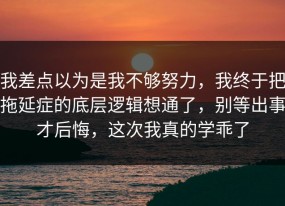 我差点以为是我不够努力，我终于把拖延症的底层逻辑想通了，别等出事才后悔，这次我真的学乖了