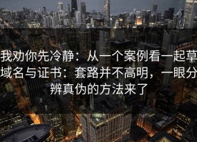 我劝你先冷静：从一个案例看一起草域名与证书：套路并不高明，一眼分辨真伪的方法来了