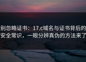 别忽略证书：17.c域名与证书背后的安全常识，一眼分辨真伪的方法来了