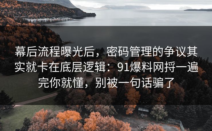 幕后流程曝光后,密码管理的争议其实就卡在底层逻辑:91爆料网捋一遍完你就懂,别被一句话骗了 幕后流程曝光后,密码管理的争议其实就卡在底层逻辑:91爆料网捋一遍完你就懂,别被一句话骗了