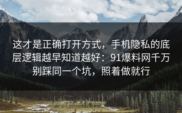 这才是正确打开方式，手机隐私的底层逻辑越早知道越好：91爆料网千万别踩同一个坑，照着做就行