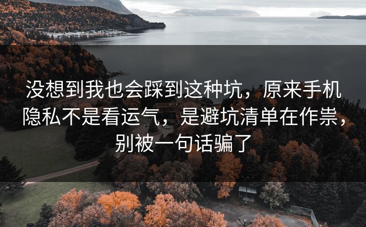 没想到我也会踩到这种坑,原来手机隐私不是看运气,是避坑清单在作祟,别被一句话骗了 没想到我也会踩到这种坑,原来手机隐私不是看运气,是避坑清单在作祟,别被一句话骗了