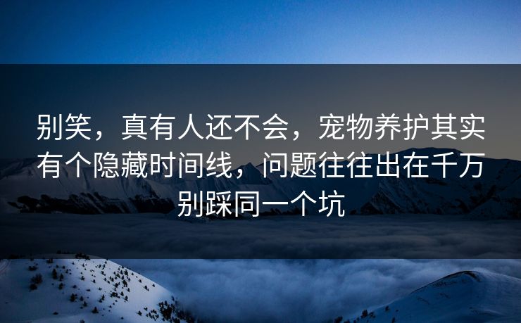 别笑，真有人还不会，宠物养护其实有个隐藏时间线，问题往往出在千万别踩同一个坑