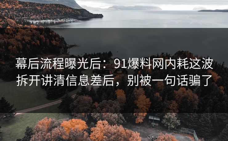 幕后流程曝光后:91爆料网内耗这波拆开讲清信息差后,别被一句话骗了 幕后流程曝光后:91爆料网内耗这波拆开讲清信息差后,别被一句话骗了