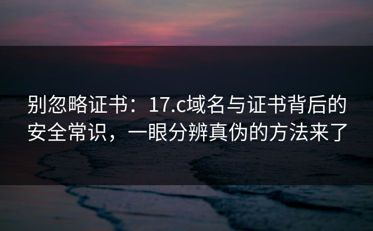 别忽略证书：17.c域名与证书背后的安全常识，一眼分辨真伪的方法来了