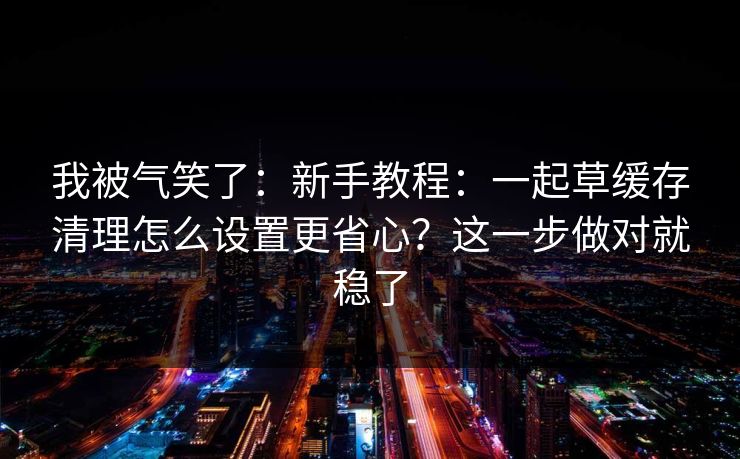 我被气笑了：新手教程：一起草缓存清理怎么设置更省心？这一步做对就稳了